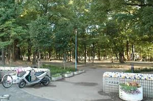 【周辺】十三公園