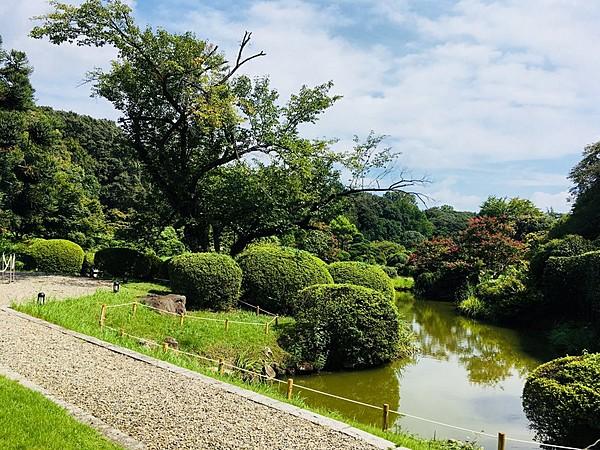 【周辺】その他小石川植物園まで524ｍ