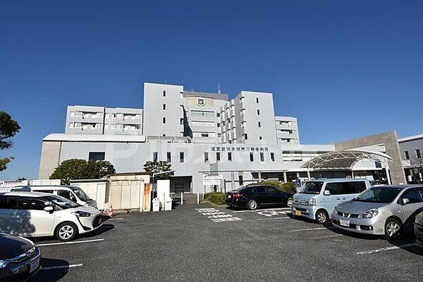 【周辺】東京歯科大学市川総合病院 徒歩31分。 2470m