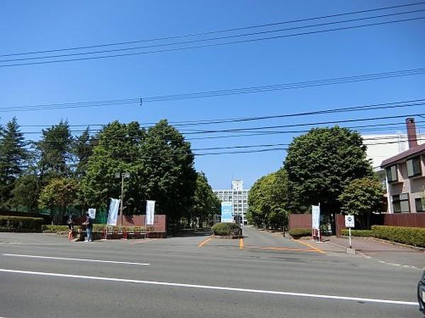 【周辺】【大学】私立札幌大学まで2149ｍ