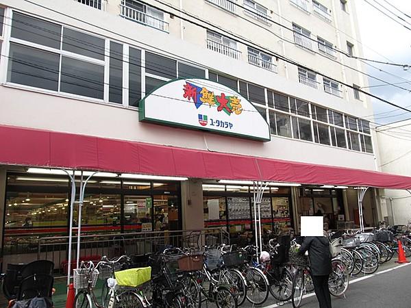 【周辺】新鮮大売ユータカラヤ東武練馬店 579m