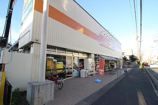 【周辺】アコレ市川宝店 484m