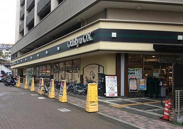 【周辺】OdakyuOX鶴川店 453m