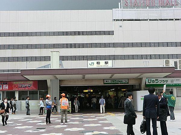 【周辺】柏駅(JR 常磐線)まで599m、JR常磐線、東武野田線の2路線利用可！