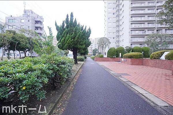 【外観】前面道路