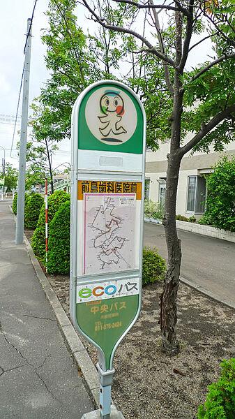【周辺】ecoバス「前島歯科前」停(380m)