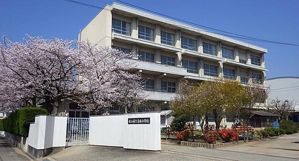 【周辺】【小学校】松山市立清水小学校まで1296ｍ