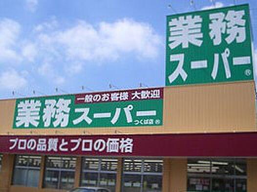 【周辺】【スーパー】業務スーパー 徳島店まで290ｍ