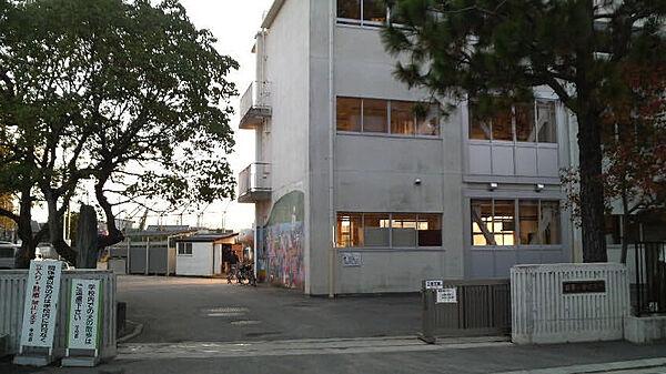 【周辺】【小学校】徳島市立城東小学校まで666ｍ