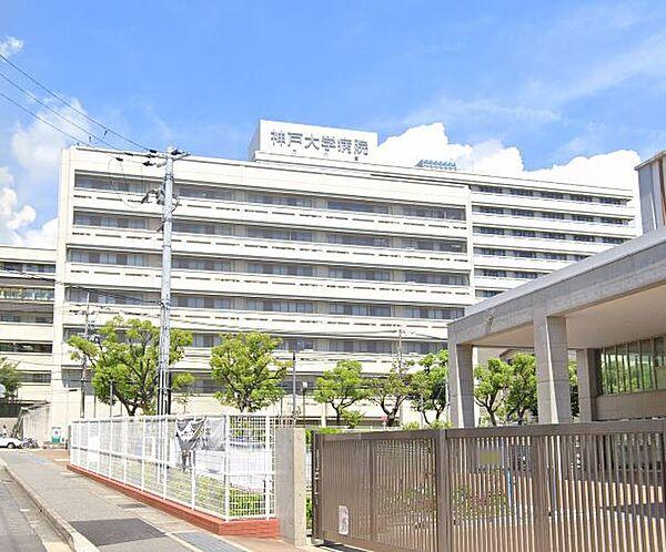 【周辺】神戸大学医学部附属病院（900m）