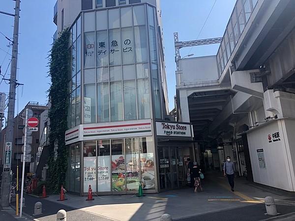 【周辺】東急ストアフードステーション中延店 762m