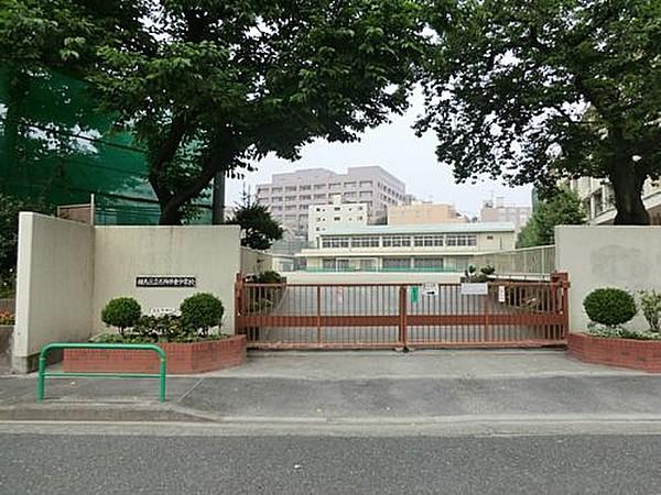 【周辺】【中学校】練馬区立石神井東中学校まで430ｍ