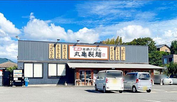 【周辺】丸亀製麺時津店 徒歩4分。 320m