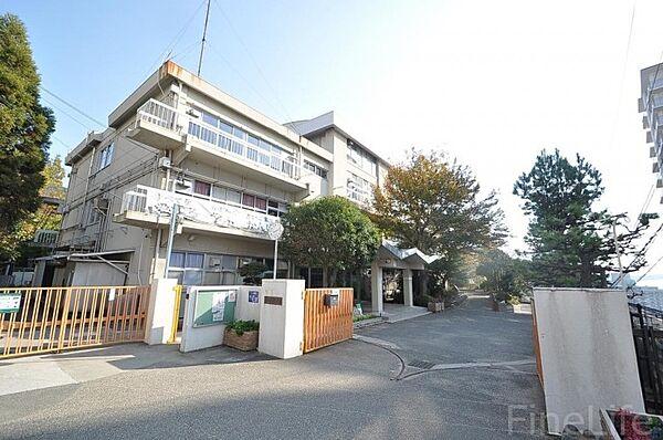 【周辺】神戸市立東舞子小学校 421m