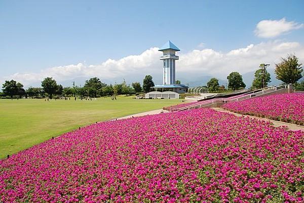 【周辺】赤坂台総合公園（ドラゴンパーク） 徒歩 約20分（約1600m）