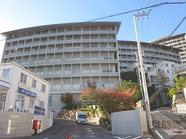 【周辺】神戸海星病院 1264m