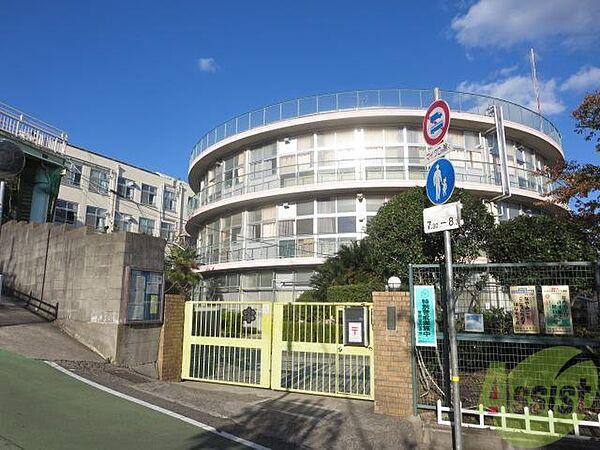【周辺】神戸市立美野丘小学校 786m