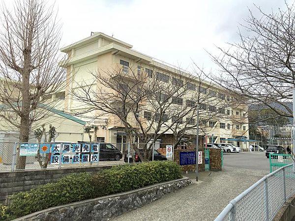【周辺】北九州市立松ケ江中学校（482m）