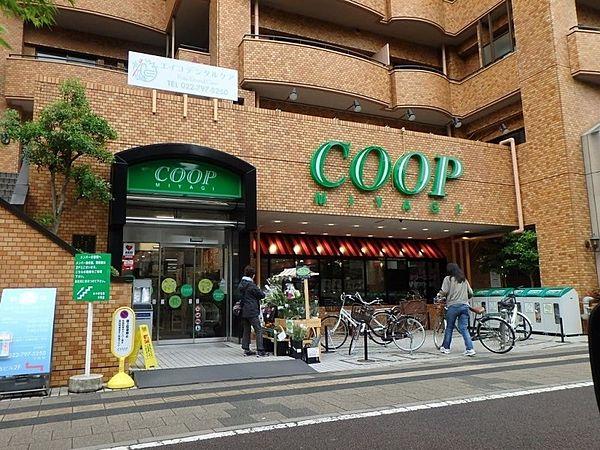 【周辺】COOP　MIYAGI木町店 505m