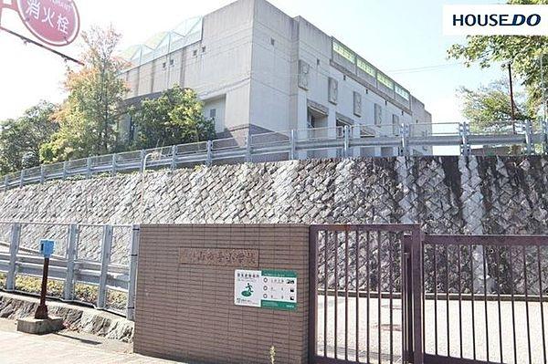 【周辺】神戸市立山の手小学校 850m