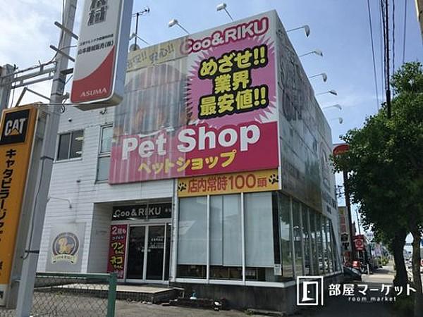 【周辺】ペットショップペットショップCoo&RIKU 東海岡崎店まで215ｍ