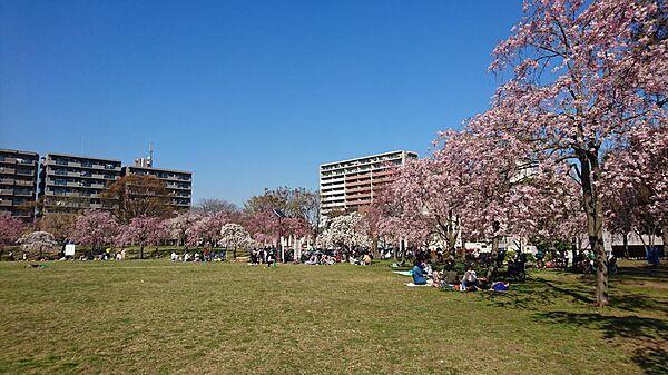 【周辺】ジョギングコース、桜祭りが行われるおおきな尾久の原公園まで徒歩１０分