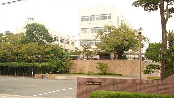 【周辺】私立近畿大学九州短期大学（532m）