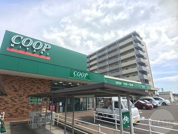【周辺】COOP　MIYAGI市名坂店 1093m