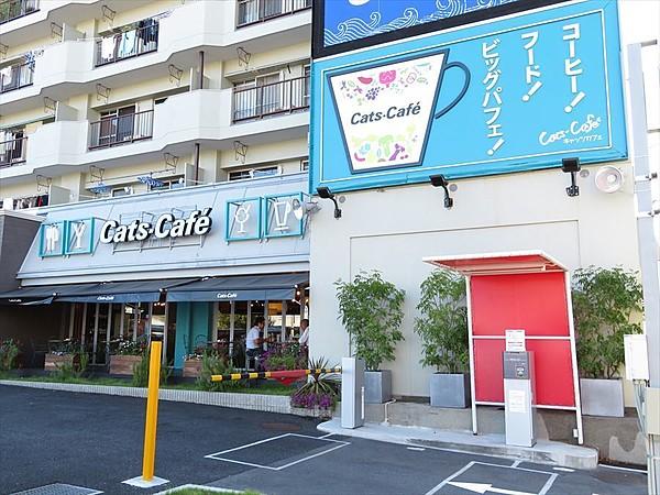 【周辺】キャッツカフェ港店モーニング、ランチもやっています♪パフェの種類も豊富で夜カフェにも使えます。 徒歩 約10分（約800m）