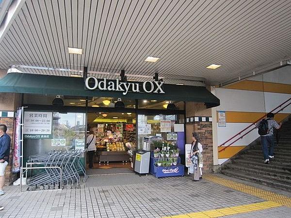 【周辺】OdakyuOX長後店 795m