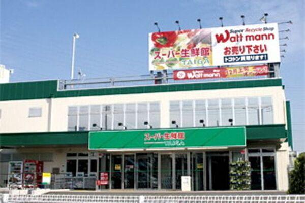 【周辺】スーパー生鮮館TAIGA藤沢石川店 徒歩7分。スーパー 530m