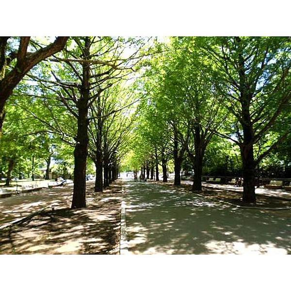 【周辺】公園「東京都立光が丘公園まで600ｍ」