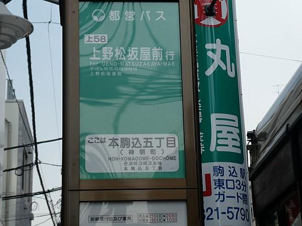 【周辺】上野方面、早稲田方面へのバスも便利です。