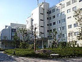 【周辺】【総合病院】東京衛生病院まで1190ｍ