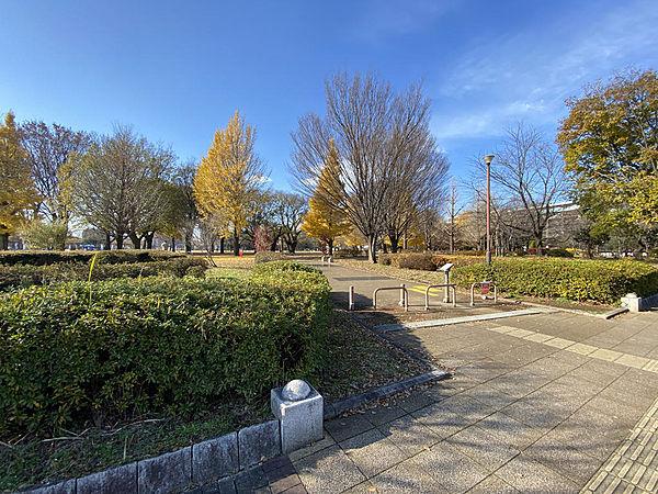 【周辺】広大な武蔵国分寺公園が隣接