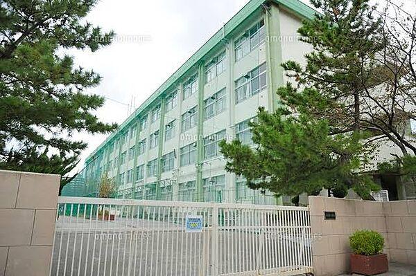 【周辺】【中学校】江戸川区立南葛西中学校まで577ｍ