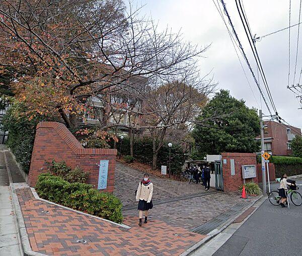 【周辺】私立目白大学新宿キャンパス（1063m）