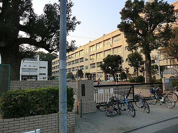 【周辺】小学校 1100m 横浜市立新井小学校