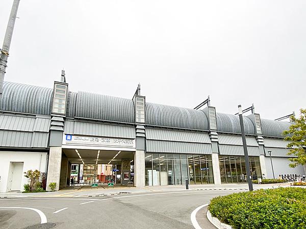 【周辺】阪神鳴尾・武庫川女子大前駅