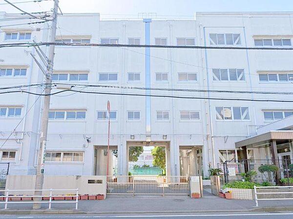 【周辺】横浜市立境木中学校　約180ｍ