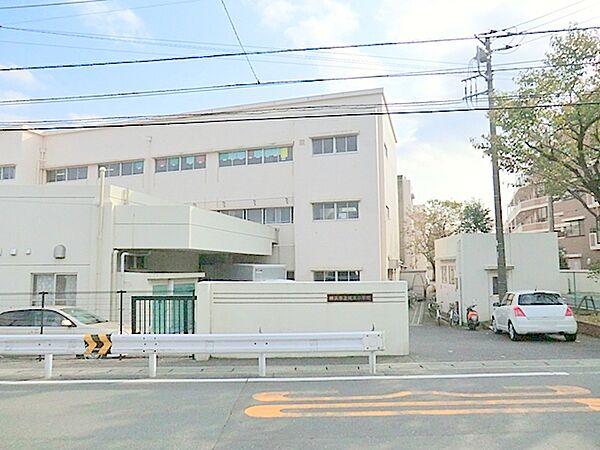 【周辺】横浜市立境木小学校　約160ｍ