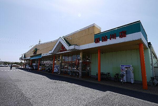 【周辺】サンユーストアー 新鮎川店（176m）