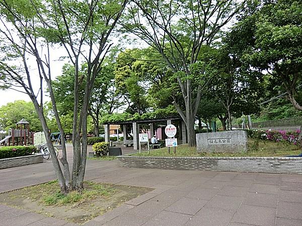 【周辺】稲毛東公園