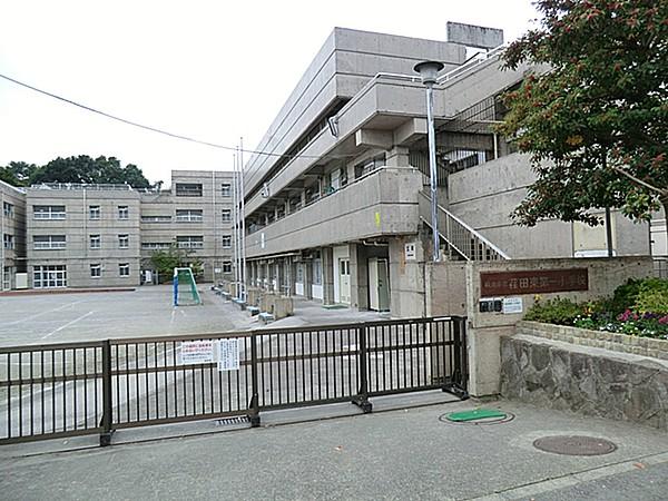 【周辺】小学校荏田東第一小学校まで508ｍ