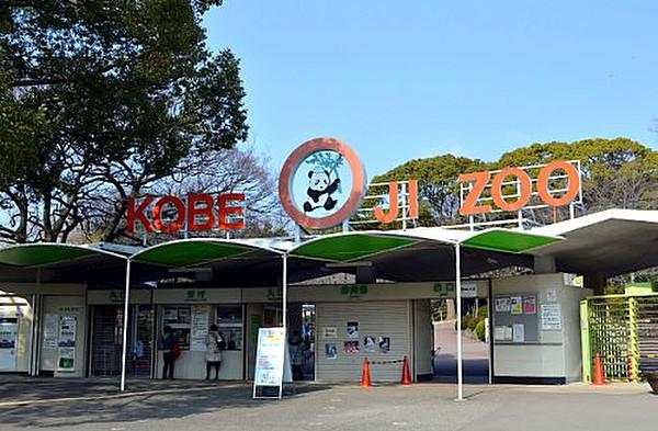 【周辺】動物園神戸市立王子動物園まで496ｍ