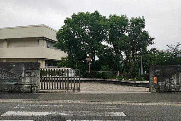 【周辺】横浜市立松本中学校282m