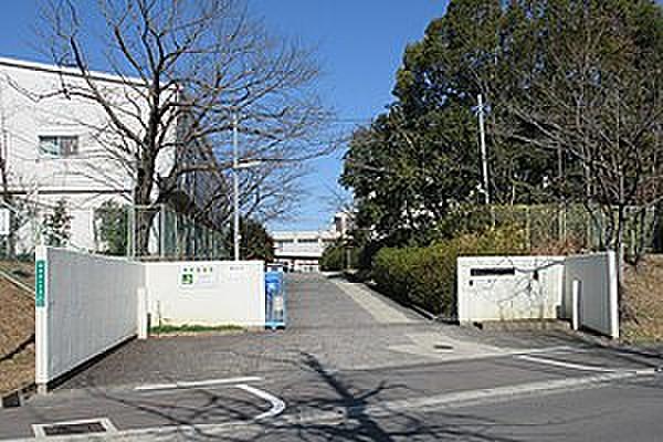 【周辺】小学校堺市立御池台小学校まで429ｍ
