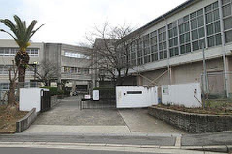 【周辺】中学校堺市立原山台中学校まで207ｍ