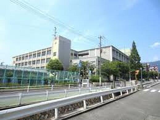 【周辺】■神戸市立御影小学校まで867m　徒歩11分