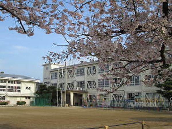 【周辺】小学校篠山小学校まで594ｍ